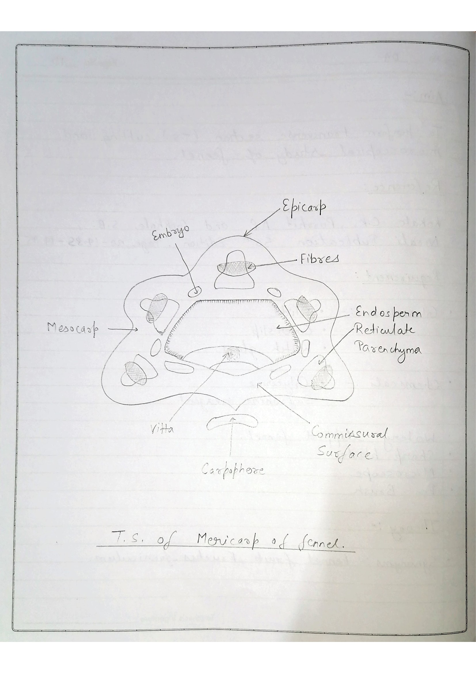 Pharmacognosy Practical